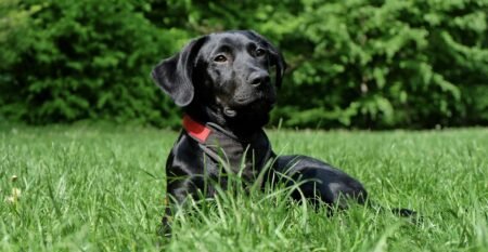 pexels-pixabay-162149